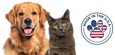 Dog and a cat