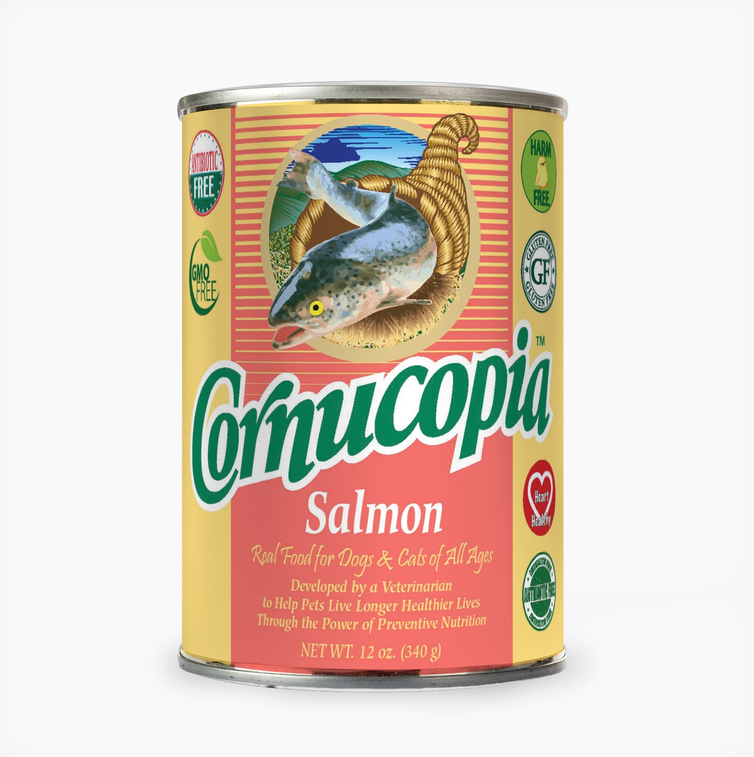 Salmon